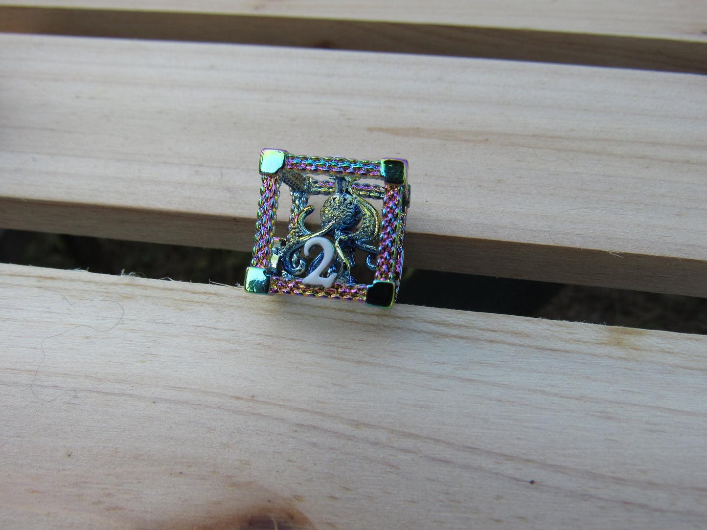 Rainbow Caged Octopus Hollow Dice