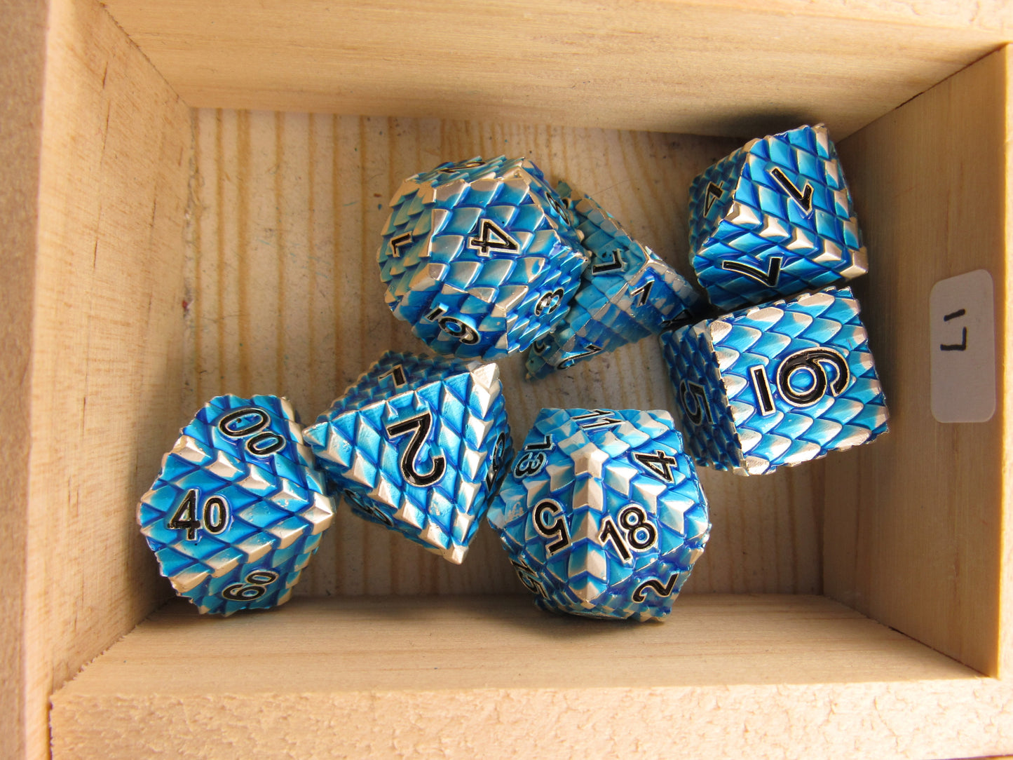 Blue and Silver Dragon Scale Dice