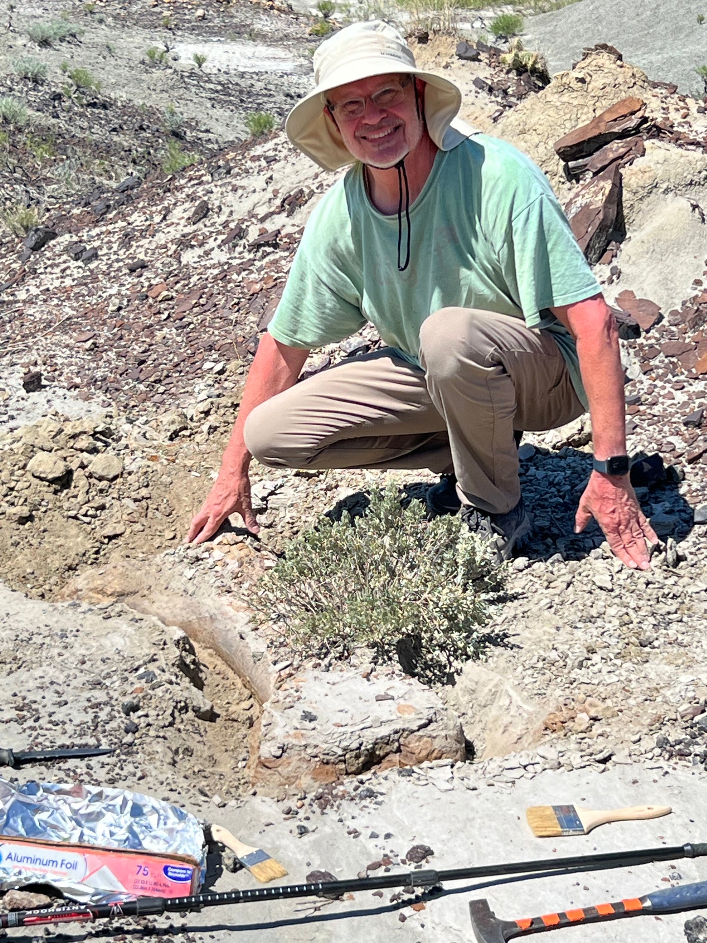Dinosaur Bone Dice Set