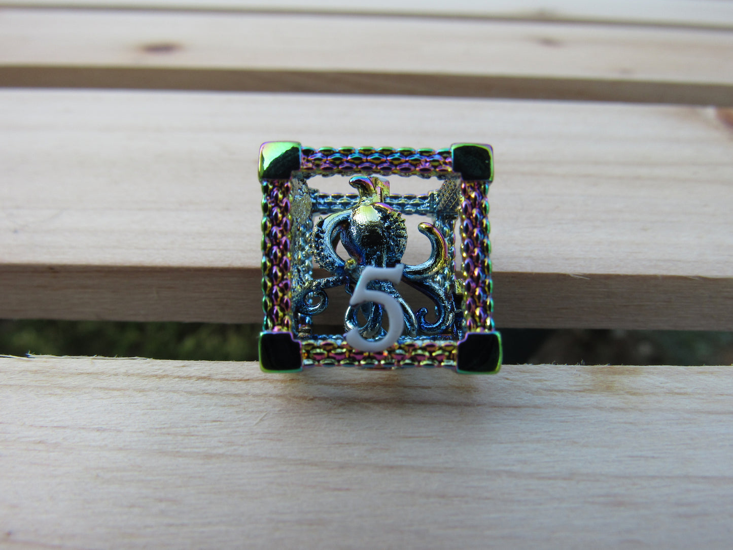 Rainbow Caged Octopus Hollow Dice