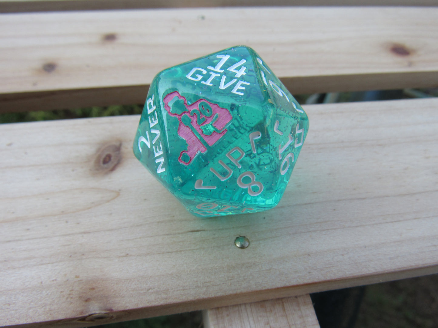 Large Rick Roll D20