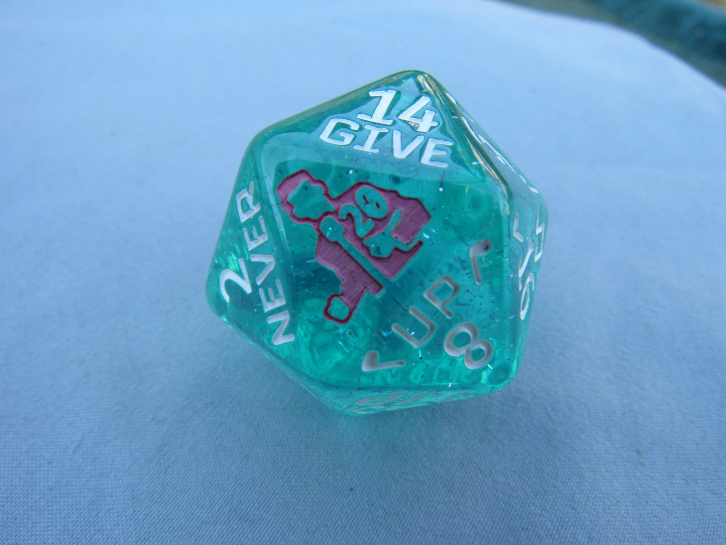 Large Rick Roll D20