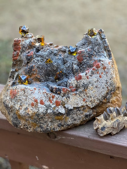 Dinosaur Bone Dice - D20