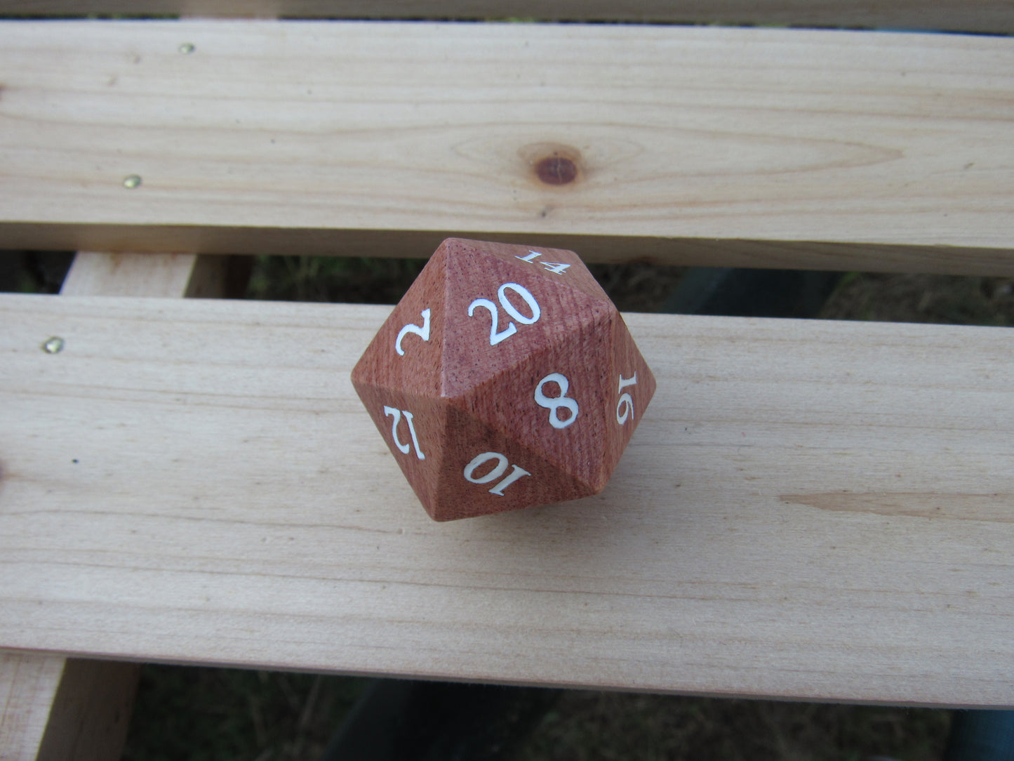 Santos Rose Large Wood D20