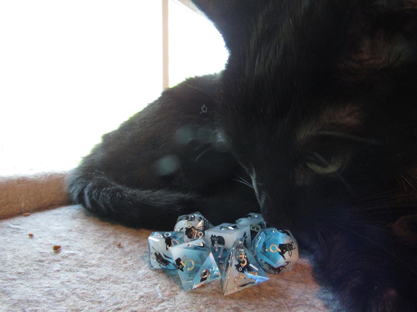 Cat Sharp Resin Dice Set