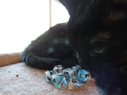 Cat Sharp Resin Dice Set