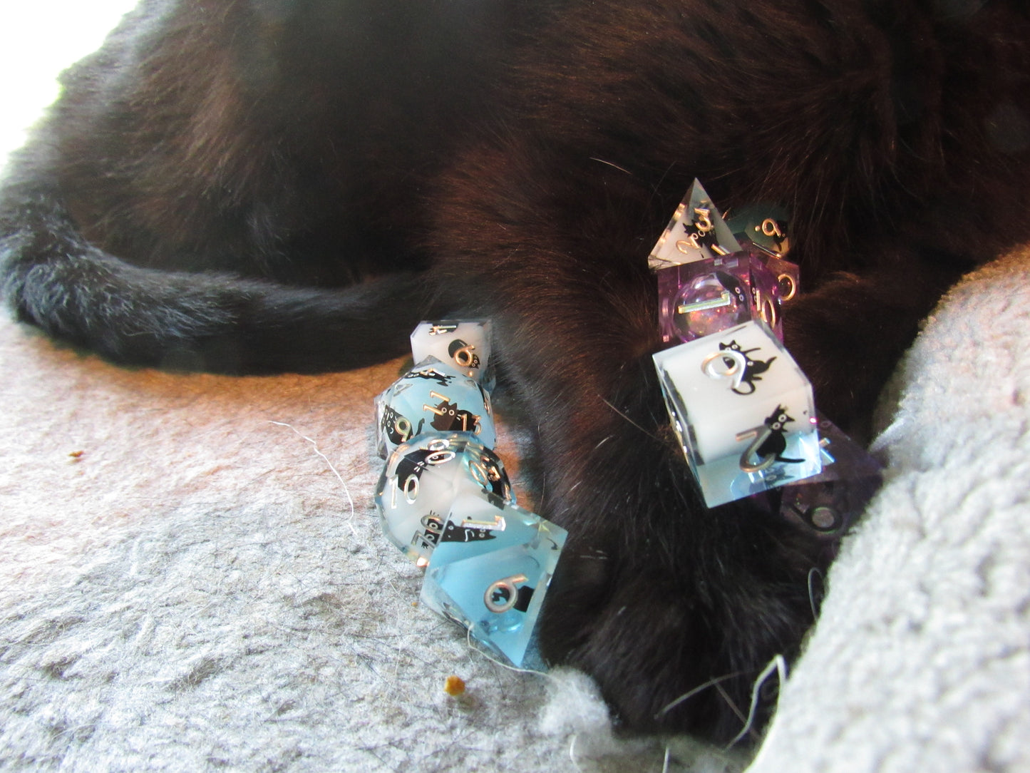 Cat Sharp Resin Dice Set