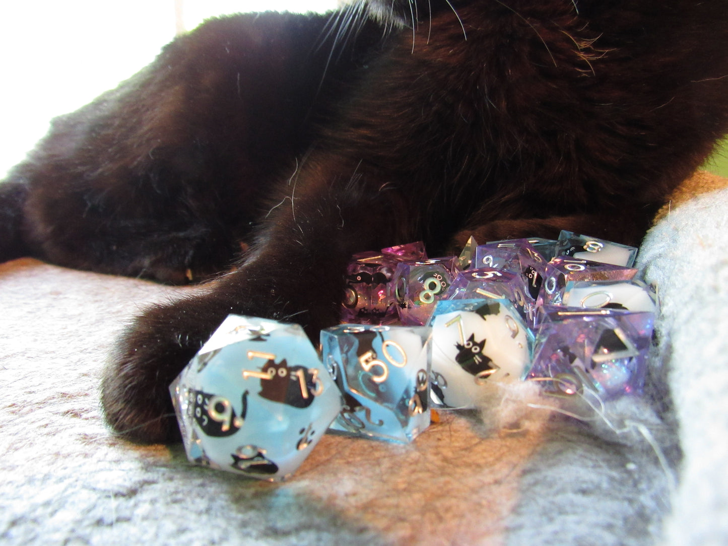 Cat Sharp Resin Dice Set