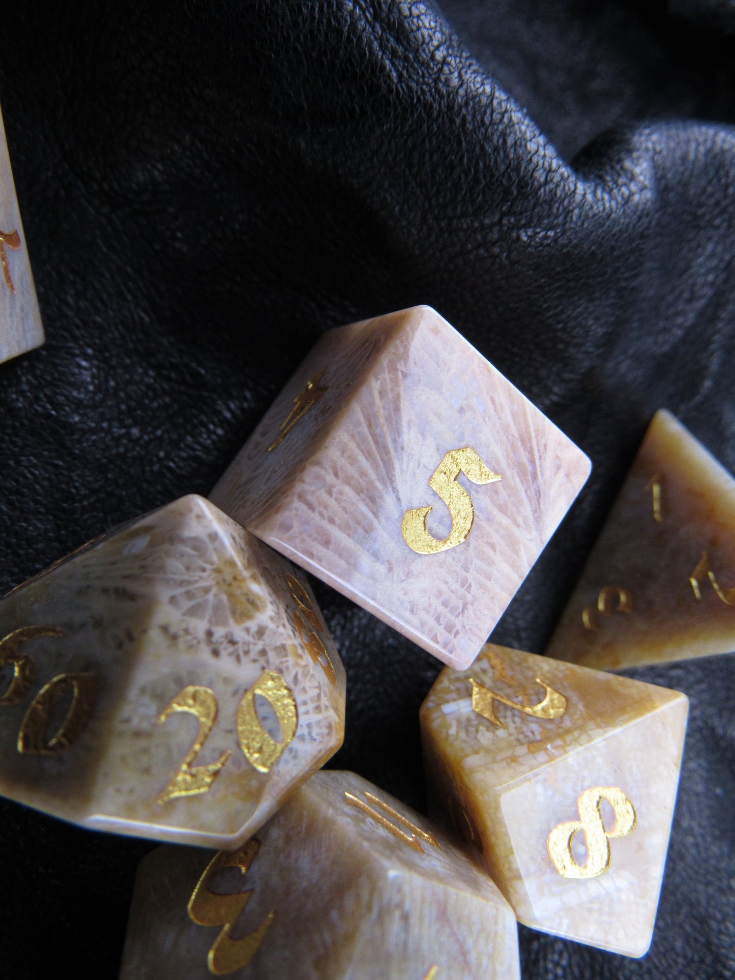 Agatized Coral Fossil Dice Set