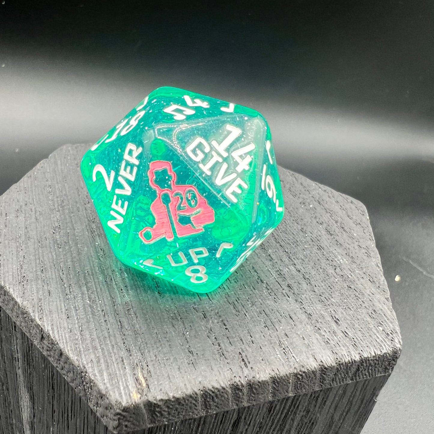 Large Rick Roll D20